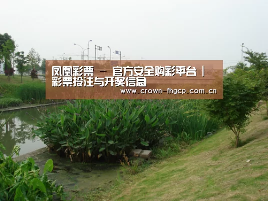 案例展示四(图1)