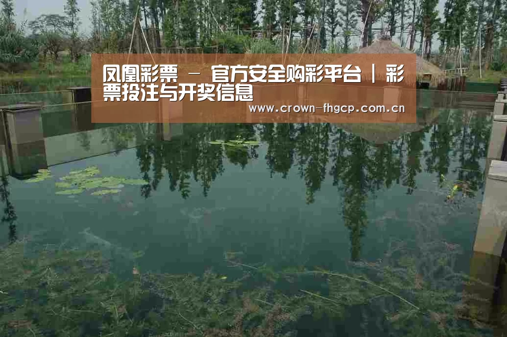 案例展示二