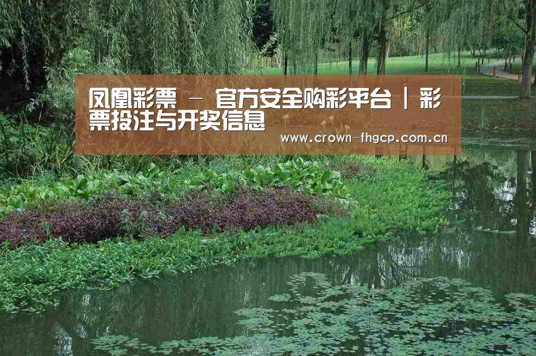 案例展示一