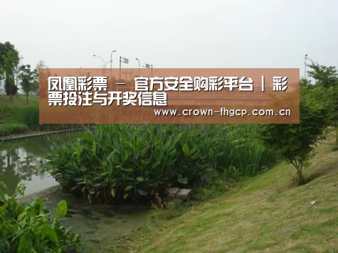 案例展示四