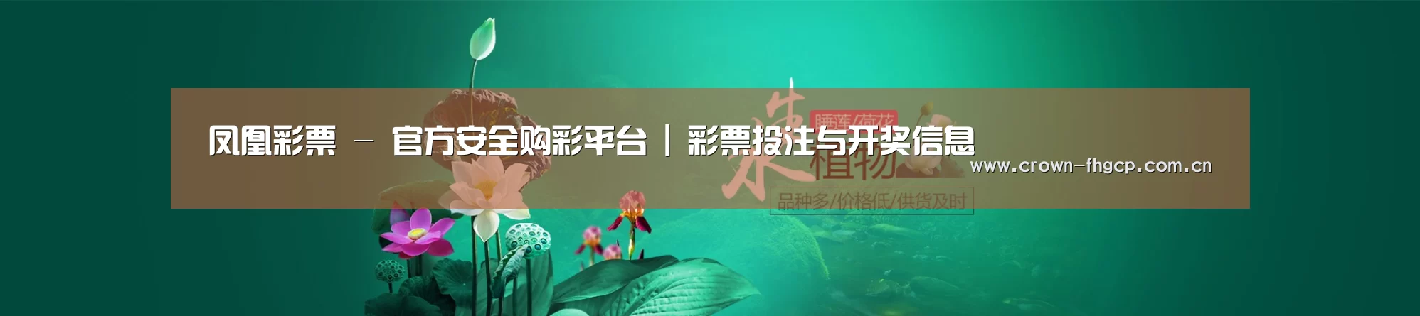 鲜花水草花卉网站模板