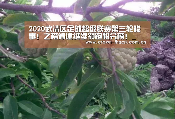 2020武清区足球超级联赛第三轮竣事!之楷修建继续领跑积分榜!_鳯凰彩票(图3) 鳯凰彩票