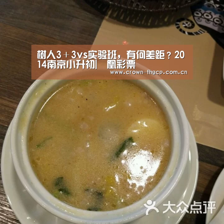 树人3+3vs实验班,有何差距?2014南京小升初|鳯凰彩票(图1) 鳯凰彩票