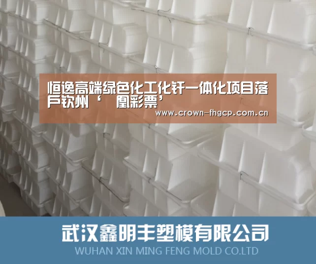 恒逸高端绿色化工化纤一体化项目落户钦州‘鳯凰彩票’(图4) 凤凰彩票官网