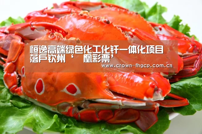 恒逸高端绿色化工化纤一体化项目落户钦州‘鳯凰彩票’(图2) 鳯凰彩票