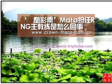 ‘鳯凰彩票’Mata担任RNG主教练是怎么回事 英雄联盟Mata担任RNG主教练详情(图2) 鳯凰彩票