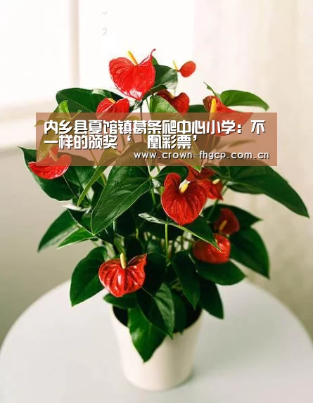 内乡县夏馆镇葛条爬中心小学:不一样的颁奖‘鳯凰彩票’(图1) 凤凰彩票官网