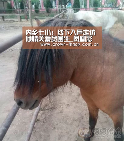 内乡七小:线下入户走访倾情关爱贫困生_凤凰彩票官网(图1) 凤凰彩票官网
