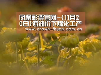 凤凰彩票官网