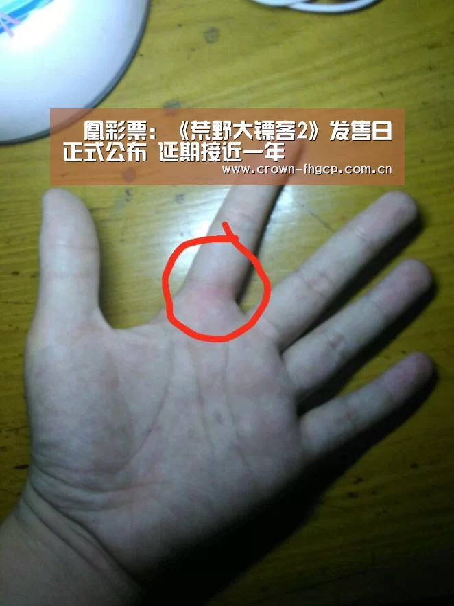 鳯凰彩票:《荒野大镖客2》发售日正式公布 延期接近一年(图2) 凤凰彩票官网