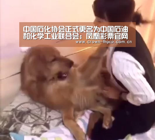 中国石化协会正式更名为中国石油和化学工业联合会:凤凰彩票官网(图1) 鳯凰彩票